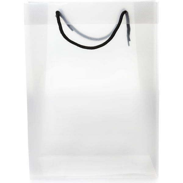 11520: PP Bag Large