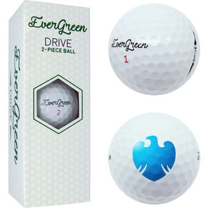 15608: Evergreen Golfâ¢ Drive 2-piece Balls